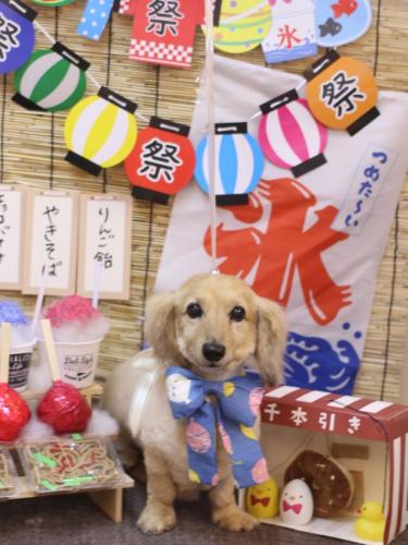 20240716ここあちゃん